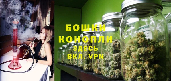 spice Осташков