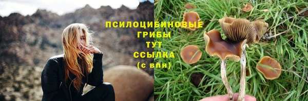 кокаин премиум Пересвет