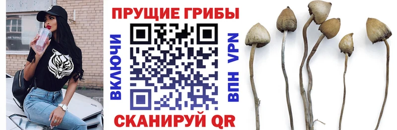 Галлюциногенные грибы ЛСД  ссылка на мегу tor  Тетюши 